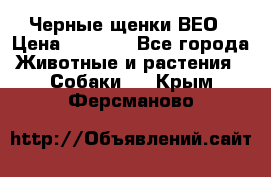 Черные щенки ВЕО › Цена ­ 5 000 - Все города Животные и растения » Собаки   . Крым,Ферсманово